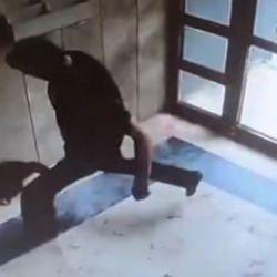 Cani adam kediyi yerden yere vurup kafasını ezerek öldürdü!