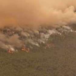 Ciğerlerimiz yanıyor: Ekiplerden canhıraş mücadele!... İşte saat saat son durum!