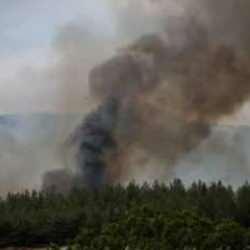 İki ilde orman yangını: Müdahale sürüyor!