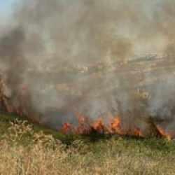 İstanbul'da korkutan yangın! Ekipler sevk edildi