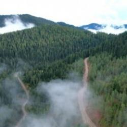 Esenler Belediyesi orman seferberliği başlattı