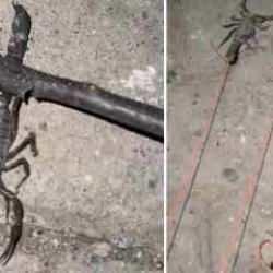 K&ouml;yl&uuml;ler sokakta y&uuml;r&uuml;yemez hale geldi: Korkuyla yaşıyoruz