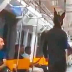 Metrodaki "t&uuml;fekli tavşan" yakalandı