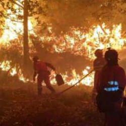 Portekiz ve İspanya'da &ccedil;ıkan yangınlar binlerce hektarlık alanı k&uuml;l etti