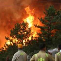 Türkiye yangın haritası: Orman yangınları hangi illerde söndürüldü?