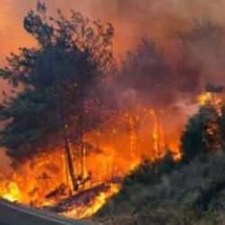 Yola &ccedil;ıkacaklar dikkat: Orman yangınlarından dolayı bu yollar kapalı!