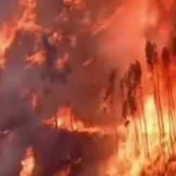 İspanya ve Portekiz’de yangın alarmı! Mücadele sürüyor