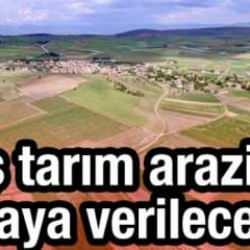 Bakanlık duyurdu: Boş tarım arazileri kiraya verilecek! Eylül'de yürürlüğe girecek