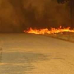 Sevindiren haber! Çanakkale'de orman yangınları kontrol altına alındı