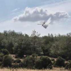 Edirne ve Tokat'taki orman yangınları kontrol altında