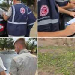 'Hayvanlarıma yem olarak verdim' dedi, cezadan kurtulamadı!