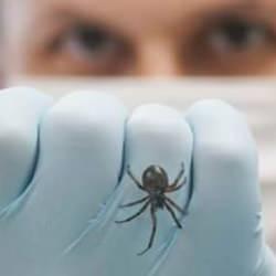 İngiltere&rsquo;de kırmızı alarm: &lsquo;Pencereleri kapatın!&rsquo; uyarısı!