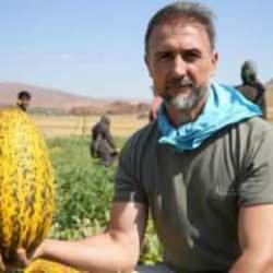 Kavun hasadı başladı! Yüksek verim, üreticileri memnun etti