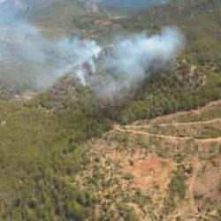 Mersin'de orman yangını başladı