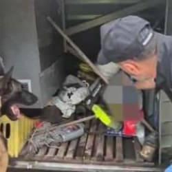 Otobüste yolcunun valizinde 1 kilo 182 gram skunk ele geçirildi
