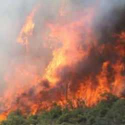 Sıcaklık yükseliyor, rüzgar kuvvetleniyor... Uzmanlar uyardı: Yangın tehlikesi kapıda!