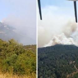 Sinop'ta orman yangını! Köy tahliye edildi