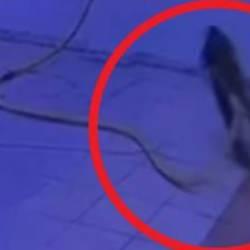 Su tahliyesi sırasında akıma kapılan kapıcının ölüm anı kamerada