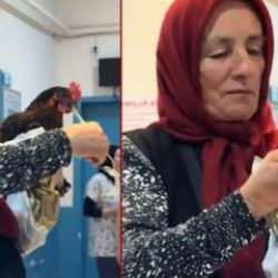Fıkra gibi olay! Röntgeni çekilen tavuk ameliyata alındı