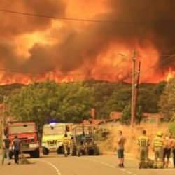 İspanya'da çıkan orman yangınlarında 7 kişi hayatını kaybetti