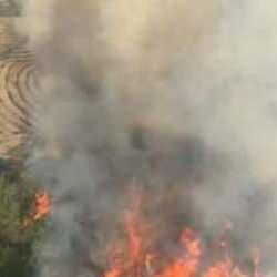 Adana'da orman yangını: 6 helikopter 2 uçak müdahale ediyor!