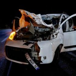 Bingöl'de feci kaza! Hem yolcu hem de at öldü