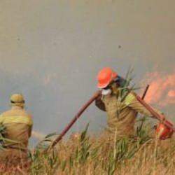 Bir kıvılcım yetiyor! Yangınların yüzde 57’si orman dışında başlamış