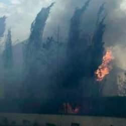 Çorlu’da korkutan yangın: Alevler yerleşim yerlerine sıçradı