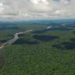 D&uuml;nya'nın en b&uuml;y&uuml;k akciğeri olarak biliniyor! K&uuml;resel amazon alarmı! 