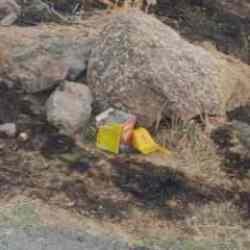 Havai fişek atarak orman yangını çıkaran şahıs hakkında karar! İfadesi pes dedirtti