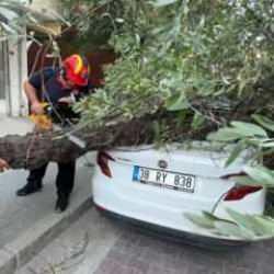 İstanbul'da korku dolu anlar: 3 ağa&ccedil; birden devrildi!
