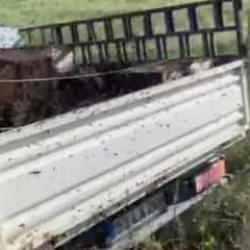 Kovan taşıyan kamyon devrildi! Etrafa binlerce arı yayıldı