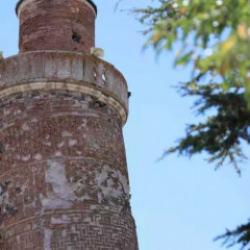 Pisa Kulesi’nden daha eğri: Bu minare görenleri şaşırtıyor