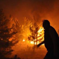 Son dakika: 4 ilimizden kahreden haber! Alevler evlere sıçradı! Köyler tahliye ediliyor