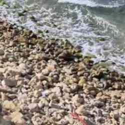 Şile'de tehlikeli olduğu değerlendirilen bir cisim bulundu