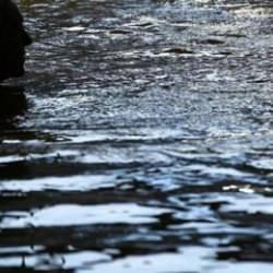 Akılalmaz olay! 'Şifalı' denilen suya giren çift hayatını kaybetti 