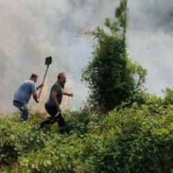 Bolu'da orman yangını başladı: Havadan ve karadan müdahale sürüyor