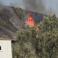 Bursa'da orman yangını soruşturmasında 1 gözaltı
