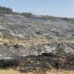 Çanakkale orman yangını kontrol altında