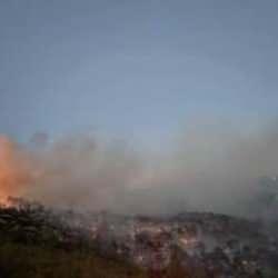 Denizli'deki orman yangını kontrol altına alındı