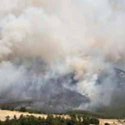 Denizli'deki orman yangınıyla ilgili 1 kişi gözaltına alındı