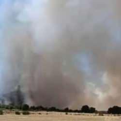 Diyarbakır'da 4 noktada aynı anda yangın!