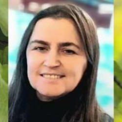 Fındık hasadında acı olay: Arının soktuğu kadın öldü