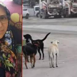 Yer: İzmir! Köpeklerden kaçarken canından oldu