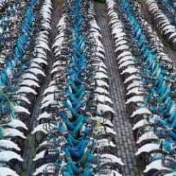 İSBİKE'de milyonluk oyun: Kullanıcı bakiyeleri İSPARK harcamalarında kullanıldı