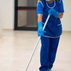 İŞKUR TYP 2025 kura sonucu sorgulama ekranı: Kastamonu, Giresun, Sinop Temizlik Görevlisi başvuru sonuçları açıklandı mı?