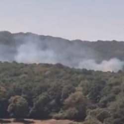 İstanbul'da orman yangını: &Ccedil;ok sayıda ekip sevk edildi