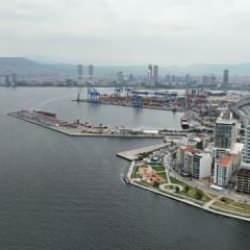 İzmir Körfezi'nin kokmasının sebebi siyanobakterilermiş 