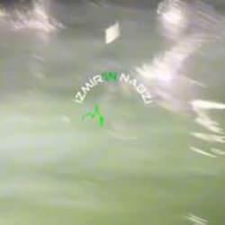 İzmir Narlıdere'de ilginç görüntü: Çok sayıda balık aynı anda su üstünde