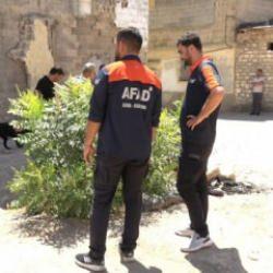 Kilis'te 2 yaşındaki kız çocuğu kayboldu